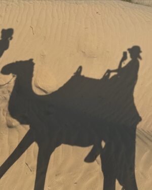 Miriam Yeung Chin-Wah Instagram - .
聖誕旅行第二站之
出埃及記 #Dubai 篇
#出埃及記
#沙漠中的樹