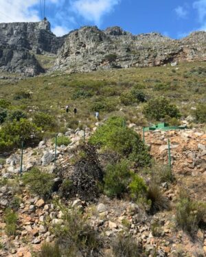 Motsi Mabuse Instagram - It’s been magical #southafrica