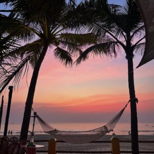 Natalia Janoszek Instagram - Little paradise @therosegoa