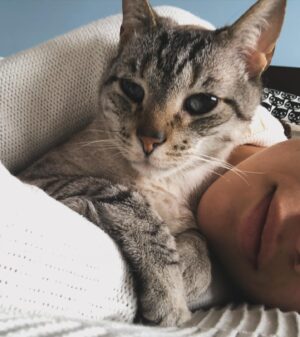 Natalia Reyes Instagram - 💔 🐈 👼 Cómo despide uno a alguien después de 22 años? Mi viejito Bartolo hoy dejó este plano después de nada menos que 22 años de camino juntos, un gato que era parte de la familia, testigo fiel, amoroso, paciente y silencioso de nuestra historia 🤍 GRACIAS por tanto, te amaremos para siempre, Rayo te va a extrañar ⚡️gracias eternas a @giraldo__l por habernos dado esta dosis tan larga de amor. Buen viaje Bartolito💫 

•

💔 🐈 👼 How does one say goodbye to someone after 22 years? My old Bartolo left this world today after no less than 22 years of walking together, a cat who was part of my family, a faithful, loving, patient and silent witness to our history 🤍 We’ll always love you, Rayo will miss you ⚡️ eternal thanks to @giraldo__l for having given us this long dose of love. Fly high, Bartolito💫