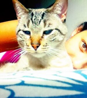 Natalia Reyes Instagram - 💔 🐈 👼 Cómo despide uno a alguien después de 22 años? Mi viejito Bartolo hoy dejó este plano después de nada menos que 22 años de camino juntos, un gato que era parte de la familia, testigo fiel, amoroso, paciente y silencioso de nuestra historia 🤍 GRACIAS por tanto, te amaremos para siempre, Rayo te va a extrañar ⚡️gracias eternas a @giraldo__l por habernos dado esta dosis tan larga de amor. Buen viaje Bartolito💫 

•

💔 🐈 👼 How does one say goodbye to someone after 22 years? My old Bartolo left this world today after no less than 22 years of walking together, a cat who was part of my family, a faithful, loving, patient and silent witness to our history 🤍 We’ll always love you, Rayo will miss you ⚡️ eternal thanks to @giraldo__l for having given us this long dose of love. Fly high, Bartolito💫