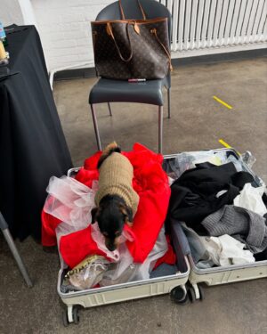 Natalie Negrotti Instagram - Feliz Navidad from me and Papi! 🎁🎄🐶❄️ how cute is Papi in my luggage 🙈

Thank you @evolvemkd @revanceaesthetics and the amazing glam team for the beautiful holiday photos!!!