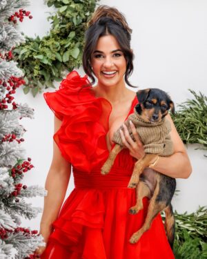 Natalie Negrotti Instagram - Feliz Navidad from me and Papi! 🎁🎄🐶❄️ how cute is Papi in my luggage 🙈

Thank you @evolvemkd @revanceaesthetics and the amazing glam team for the beautiful holiday photos!!!