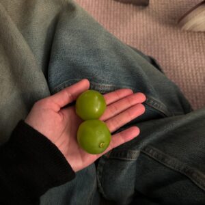 Ng Ka Yan Instagram - HAPPY NEW YEAR EVERYONE!!!! i’m counting on these grapes in 2025 🍇
