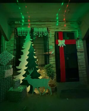 Nimrat Kaur Instagram - Annual Christmas tradition, walking through Ranwar Village with love and lights all around…🎄♥️ Merry Christmas and happy holidays all ✨