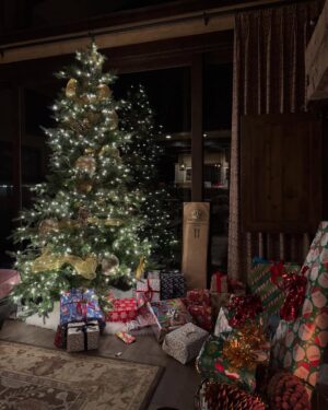 Nina Dobrev Instagram - first christmas as fiancées 🥹🤍