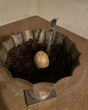 Paget Brewster Instagram - Potato planted