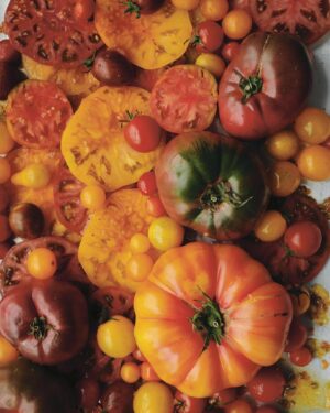 Pamela Anderson Instagram - My cookbook ‘I Love You’  is finally out and available everywhere… this is a dream come true and such a personal experience to go through and create for (and with) my family and now thoughtfully passed on to you all… Plant-based eating can be a challenge sometimes, I get it, but I hope this cookbook answers some questions, inspires and advocates for anyone curious and likes to try new things… It means the world to me that you trust me and can feel my heart enough to purchase my small contribution to try and make the world a better place—I believe in the human family… the gift that keeps on giving! 🤍

(Link in bio) 👩‍🌾

Love,
Pamela