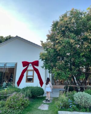 Pannin Charnmanoon Instagram - 🎄🤍