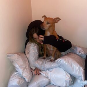 Phem Instagram - i’ve been “playing house” a lot lately … thinking ab sharing some holiday recipes live on twitch before christmas- wut do u think phemily? will u tune in? also we will be streaming some holiday movies in the discord soon. how r u liking the song so far? “playing house” is the end of an era …. i’ll explain more later. luv u all sm thanks for the support on the song so far 🖖🏼