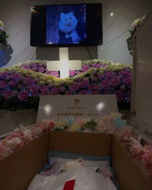 Queen Wei Instagram - 17歲的小少年，
去天堂繼續迷倒眾生吧！

-

謝謝你以身相許的這一生，
在你身上我看到絕對的善意和巨大的包容，
不只是對我還有這個世界，
你用你全然的信任愛著我，
這17年因為有你我很幸福，
才發現因為有你，
我從來不孤單。

我要跟你學習，
用善意還有包容來面對這個世界，
學習像你一樣堅持相信自己相信的，
無論茂盛或是枯萎，
心中有愛便無限。

我真的好愛好愛你我的寶貝阿啾！

遇見過你的人也都好愛好愛你，
誰叫你是那麼特別的存在。

去吧，飛吧，我的寶貝未來再見。

／

#thankyouforthelove #thankful #iloveyou
#myangel #yourlovejustlikeheaven
