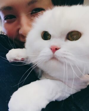 Queen Wei Instagram - 謝謝你，我愛你我的寶貝啾。

-

謝謝你等我回來把你接回家，
謝謝你在最後一刻還這麼貼心。

再捨不得也要捨得了，
我們有好好的說再見了，
最後一刻也把你緊緊抱著，
你準備好了我就準備好了，
你慢慢的失去呼吸和心跳，
想笑著送你離開可是對不起真的太難，
我還不知道怎麼面對沒有你的每一天。

希望在未來如果我們再相見，
你一定也要找到我認出我，
我也會飛快的朝你奔去。

-

謝謝你給我你的一輩子，
不管你在哪你去了哪裡，
你還是我的一輩子，
永遠永遠。

最最最愛的寶貝。