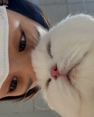 Queen Wei Instagram - 17歲的小少年，
去天堂繼續迷倒眾生吧！

-

謝謝你以身相許的這一生，
在你身上我看到絕對的善意和巨大的包容，
不只是對我還有這個世界，
你用你全然的信任愛著我，
這17年因為有你我很幸福，
才發現因為有你，
我從來不孤單。

我要跟你學習，
用善意還有包容來面對這個世界，
學習像你一樣堅持相信自己相信的，
無論茂盛或是枯萎，
心中有愛便無限。

我真的好愛好愛你我的寶貝阿啾！

遇見過你的人也都好愛好愛你，
誰叫你是那麼特別的存在。

去吧，飛吧，我的寶貝未來再見。

／

#thankyouforthelove #thankful #iloveyou
#myangel #yourlovejustlikeheaven