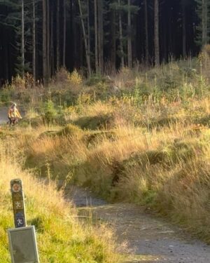 Rachel Atherton Instagram - Double bike ride day 🙏 for @ollydavey birthday ☺️❤️😍 ride to town for breakfast in the autumn leaves 🍁 🍳 
then some laps of Nant Y Arian @bwlchnantyrarian with the shotgun seat on the e-bike on the blues & sharing the atherton bike for some shared faster laps = absolute perfect ride with the whole fam! 
@kidsrideshotgun @athertonbikes ❤️