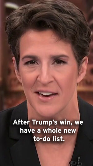 Rachel Maddow Instagram - "What they want least of all is to realize that half the country went to bed sad tonight but then woke up tomorrow fired up with a new sense of purpose knowing that apparently this is what we're on this Earth to do as American citizens in this generation."
...
"They are going to do the things they can do easily and they will have to put off the things that turn out to be hard. So what's going to be hard for them? That's where the American people come in."