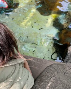 Raquel Pomplun Instagram - When I think of @seaworldsandiego I think #summer… oh but how magical it was this time around visiting during the #SeaWorldSanDiego #ChristmasCelebration 🎄✨🎅🏼 

An all #mommas trip for sure this time around, thank you @bd130 and @alisonmichellewaite for joining us! The kiddos definitely had a blast and enjoyed the bubbly winter snow 🤪

@socalmoms #SanDiego #home #Holidays #Marinelife #preserve #Protect #seaworld #RaquelPomplun #Daytrip #Friends #Bff #bestfriends #onlythegoodones #rideordies #Pomplunation #letsgo