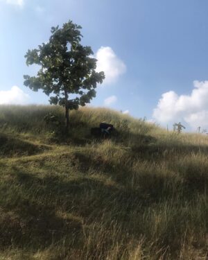 Ratan Raajputh Instagram - Ek Chhoti si Jhapki…
Maa Ki Godh Mein 🌳😇🥰
.
.
#mothernature #hiking #nap #relax