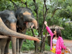 Riya Sharma Instagram - Find me someone who’ll love me as much as I love 🐘!!! 😭🤍🤍🤍

Best trip with my beautiful girls 🤍

#bestday #elephant #phuket #thailand #wanderlust