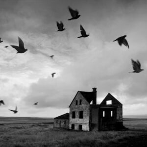 Roxane Gay Instagram - I'm excited to share the winner, runners up, and finalists for the Audacious Short Story Contest. The prompt was horror and horrify us, you did! Read more here or at the link in my stories: https://ow.ly/i7s350UuvMt