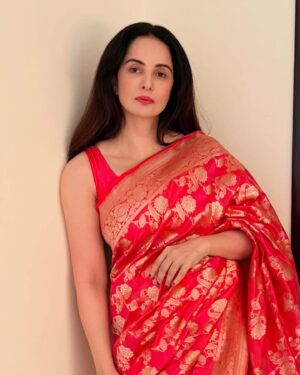 Rukhsar Instagram - 💫💫✨✨.
.
.#sabrshukr 
.
.
.
#sareelover #saree #banarasisaree #nfak