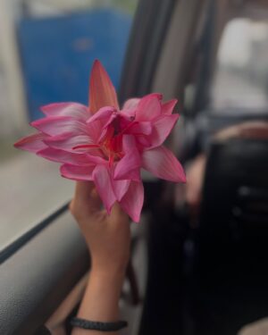 Rukmini Vasanth Instagram - Thank you all for your love and wishes. I had a beautiful day filled with so many of my favourite things: flowers, yelneeru, travel, roadside chai and the best lil snuggle from a smol baby I met in the airport 🥹 
I am filled with gratitude 🌹