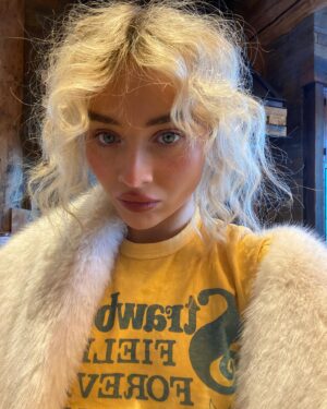 Sabrina Carpenter Instagram - new year’s resolution no more dick jokes it’s gonna be really hard