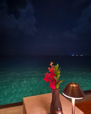Salma Abu Deif Instagram - 🪺💕🏝️🫶🏻
@ooreethirah