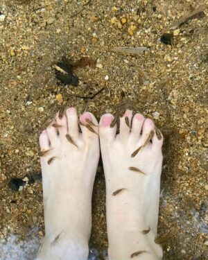 Sanjana Krishnamoorthy Instagram - 🌱🤍🧿🐟