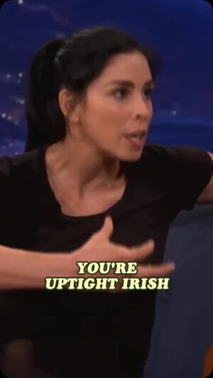 Sarah Silverman Instagram - If it’s mentionable it’s manageable