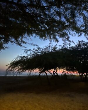 Sayantani Guhathakurta Instagram - Take only memories, leave only footprints
Swipe left ◀️
#traveldiaries #gujarat #mandavibeach #jan23 #winter #fullmoonnight #memories #throwback