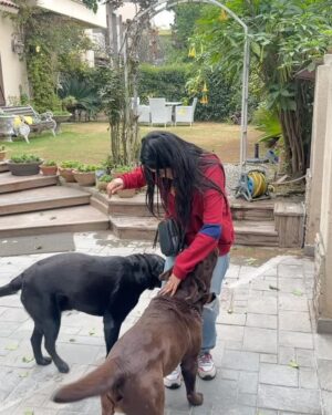Sehar Khan Instagram - Random photo dump from my phone because Jackie and Carlo are too cute to stay hidden 🐾❤️

And yes i’m up early🙃blame the early call time🤷🏻‍♀️
GOOD MORNING