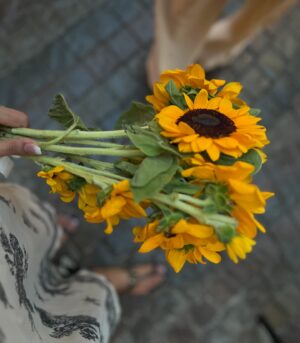 Sehar Khan Instagram - 🌻