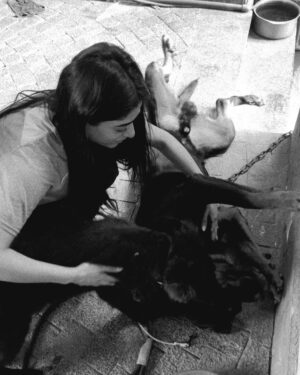 Sehar Khan Instagram - Random photo dump from my phone because Jackie and Carlo are too cute to stay hidden 🐾❤️

And yes i’m up early🙃blame the early call time🤷🏻‍♀️
GOOD MORNING