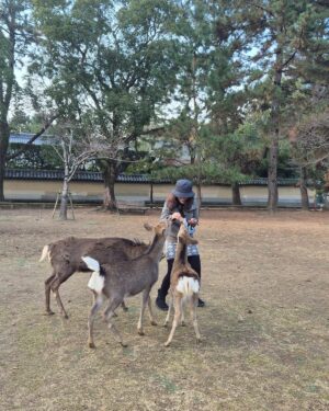 Shweta Gulati Instagram - Highlight of my day after which I fell sick miserably but didn’t give up. 
But so worth this feeling. 
Animals make me happiest. ♥️♥️♥️
#naradeerparkwasahit