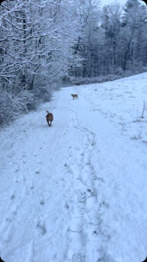 Soledad O'Brien Instagram - In the snow!