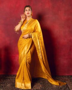 Actress Sonarika Bhadoria HD Photos and Wallpapers December 2024