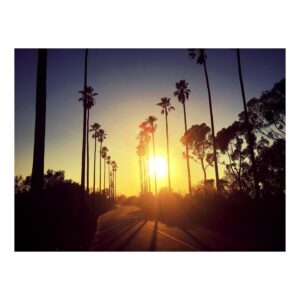 Stana Katic Instagram - 💔

#LA 💙