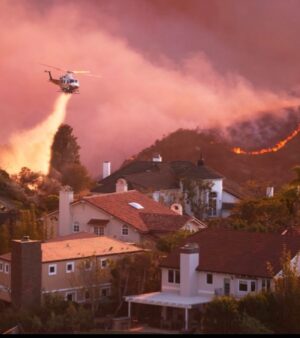 Summer Fontana Instagram - As many of you know, Los Angeles was hit with multiple wildfires in the past three days. To say I’m devastated is an understatement.  LA has been my home for the past 7 years. To see it in this condition is something that is very hard to process. Nonetheless, I am so so fortunate that my residence has so far been spared in this tragedy, and that my family and I have kept safe despite the chaos. For many however, this is not the reality. Many families, seniors, students, and wildlife have all lost their homes. Some have assumed that only “rich” people with insurance policies are effected by this disaster, but that isn’t the case. Instead of promoting division and having bitterness in your heart, we should come together to support one another and find peace in the midst of this loss. What I find most appalling about these fires is that it was so preventable. Taking the condition of our environment seriously, and investing in proper preventative measures would have significantly reduced the impact these fires have had on thousands of LA residents. My heart breaks for those losing their homes, possessions, pets, and even loved ones. Material goods can be replaced, but the memories and relationships we carry in life can not. Please join me in praying for Los Angeles. Do your research, and if you are able to give please do. I want to take the time to sincerely thank our LAFD as well as all fire personnel from surrounding states and Canada in their efforts to end this horrible situation. Their bravery and courage to risk their lives for the greater good should be honored. Sending love and support to each and every one of you. 🫂