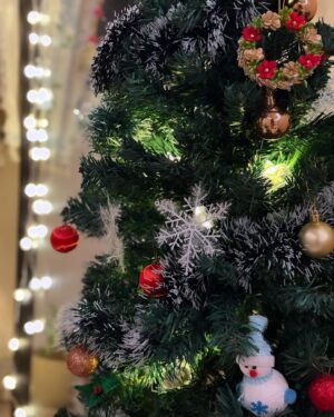 Suruchi Adarkar Instagram - Dear Santa,
 You have given me everything that I cud have wished for❤️Grateful for all the love I’m surrounded with✨🎄
#merrychristmas 
#happyvibes
#grateful