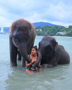 Swagatha S Krishnan Instagram - *activate core memory*  Just this girl Living her Aquarian era to its fullest 🦋🐘🐬🌊 @seeking_blue