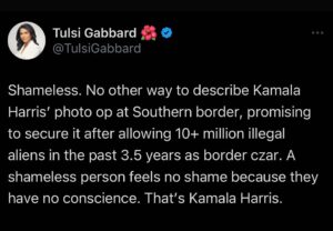 Tulsi Gabbard Instagram - Shameless. No other way to describe Kamala Harris’ photo op at Southern border, promising to secure it after allowing 10  million illegal aliens in the past 3.5 years as border czar. A shameless person feels no shame because they have no conscience. That’s Kamala Harris.
