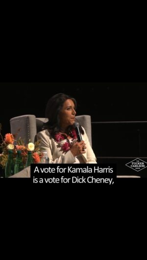 Tulsi Gabbard Instagram - Remember: A vote for Kamala is a vote for Dick Cheney, Hillary Clinton, and the woke warmongering cabal. A vote for Kamala is a vote for war, war, and more war — and with it, more infringement on our liberties in the name of “national security.”