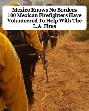 Viola Davis Instagram - "There's only one thing worse than fighting with allies, and that is fighting without them." - Churchill

I hope we remember this ...I hope we remember who showed up for us in a desperate time of need and who stood on the sidelines criticizing. From the bottom of my heart....I thank these angels of compassion, of heroism .....Much love🥺🙏🏿❤️❤️❤️❤️❤️❤️