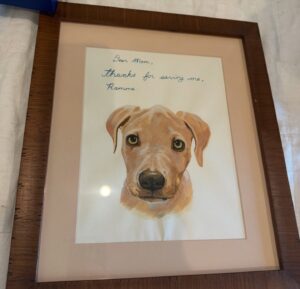 Whitney Cummings Instagram - You really find out what matters when you can only grab a couple things to evacuate. Rodney Dangerfield tonight show notes, two broke girls pilot script cover page, painting of Mona by @kevingchristy, Carries mirror from Sex and the City - a gift from michael Patrick king. 💔 there is just nothing to say.