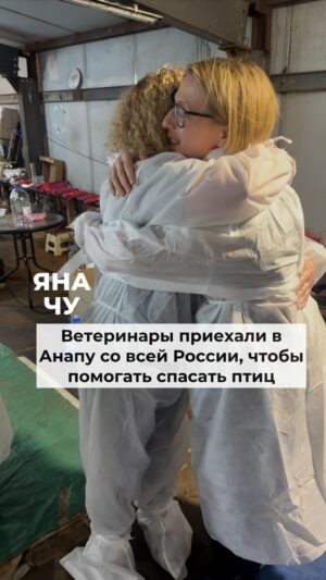 Yana Churikova Instagram - Много говорят про птиц, а я хочу про людей. 

Ветеринары и специалисты по болезням птиц сорвались сюда из разных городов, потому что никто, кроме них. Они все друг друга знают, и смогли самоорганизоваться в короткие сроки.

Из тех, кого встретила я: 

Екатерина Рачинская. Ветеринарный врач с многолетним стажем из подмосковного Солнечногорска. 

Настя Тимофеева, рыжеволосая звезда, обожаемая всеми.  Ветеринарный врач, Мурманск.

Оля Кораблёва, «Мать сов», Ижевск.

Олеся Павлова, ветеринарный врач, специалист по болезням птиц, Санкт-Петербург. 

Светлана Яковлева, биолог-эколог, специалист по болезням птиц , Кемерово. 

А сколько вообще их приехало – пока у меня цифр нет, да и зачем они. 

Ту веру в людей, которую вы мне вернули, никакими цифрами не измерить.