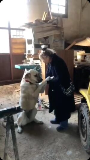 Yonca Evcimik Instagram - Hayvan sevmeyen insanlardan kaçın!