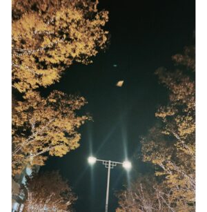 Yuki Sakurai Instagram - 皆様、こんばんは。

もうすぐ2024年の終わりが見えてきましたね。

本年もたくさん応援していただき、応援のお言葉を、この場や、お手紙等で届けて下さり

心からの感謝の気持ちでいっぱいです。いつも、大変嬉しくニッコニコしながら拝見させていただいております。

そういったお言葉一つ一つに、向けてくださるエネルギーに我々の仕事は支えられているのだと心の底から思います。

まだまだ忙しくされている方もいらっしゃるとは思いますが、ご自身を大切に、ホッと休める時間を是非少しでも作ってあげてください。

本当に、いつも支えてくださりありがとうございます。

Instagram辞めるんかくらい長い文章になりました、すみません、やめません

来年も、よろしくお願い致します。

そして、今日の紅白歌合戦。

大好きな我らが虎ちゃんこと伊藤沙莉ちゃん。

テレビの前にかじりついて応援したいと思います。

皆様も、良いお年をお過ごしください。

本年もありがとうございました。

　　　　　　　　　　　　　　　　　　　　桜井ユキ