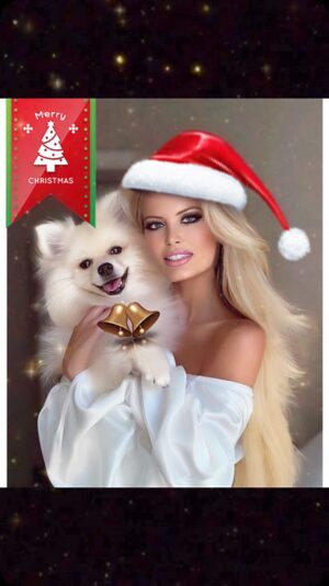 Yvette Rachelle Instagram - 🎄🎄🎄🎄Happy Ho Ho Ho Holidays & Merry Christmas  from my sweet #scandanavia  #Spitzdog & myself🎄🎄🎄Wishing everyone  a blessed & joyous Holiday Season. Hope 🎅 #SantaClaus was good to you and you were on the good list! Love my new #Bebe top and #sephorahaul #peaceonearth🌍#blessings😇  Actress  #paramountplus #SantaStoleOurDog TopModel #Animallover #YvetteRachelle