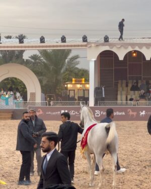 Zahraa Sami Instagram - Baghdad 📍🐎