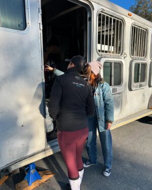 Zosia Mamet Instagram - A HUGE thanks to everyone that donated to LA equestrian for the horses affected by the fires. We received an overwhelming amount of donations that are going to be so appreciated and used .A big thanks to all the @krisdicarloeq girls for taking up the donations that wouldn’t fit in the car, Heart horse and @zosiamamet for making this all come together. (And for making my birthday a special one)We received so many donations that I had to stop gathering because we were on going to have enough space in our car. Thank you to everyone who contributed’